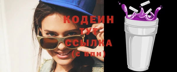 индика Зеленодольск