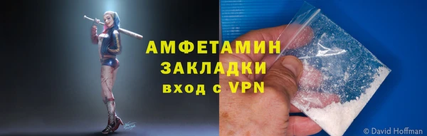 индика Зеленодольск