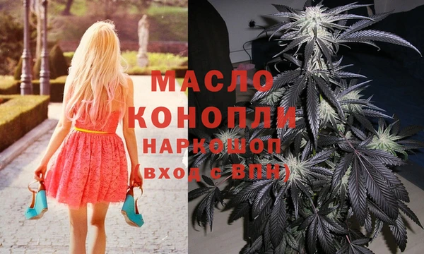 индика Зеленодольск
