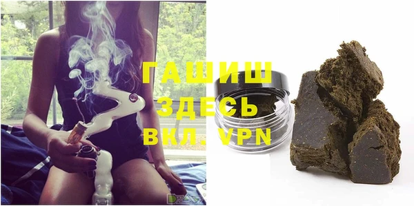 индика Зеленодольск