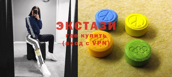 индика Зеленодольск