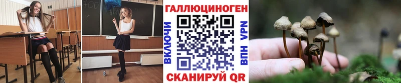 Псилоцибиновые грибы мицелий где можно купить блэк спрут как зайти Медвежьегорск